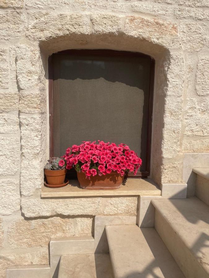 Lamanna Summer House Polignano a Mare Extérieur photo